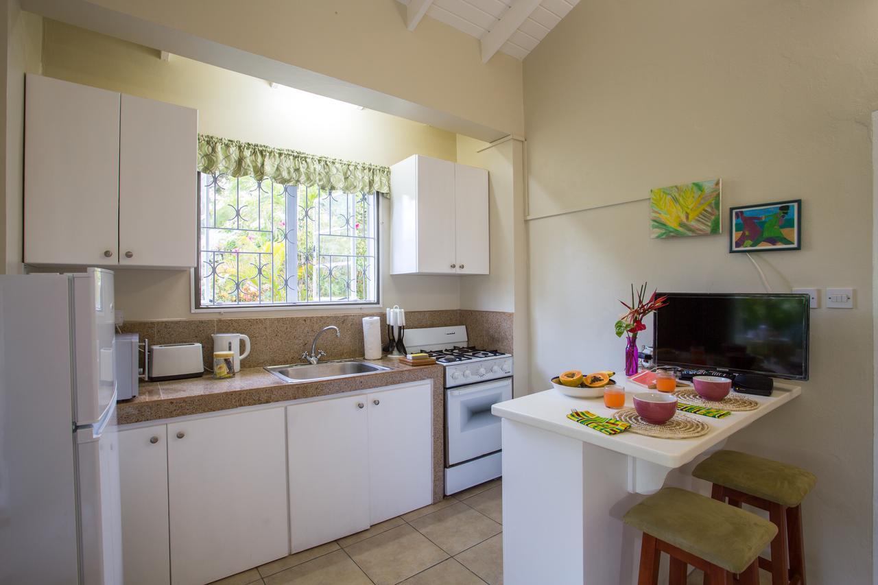Smithy'S Eco-Apartment Morne Jaloux Ridge Luaran gambar